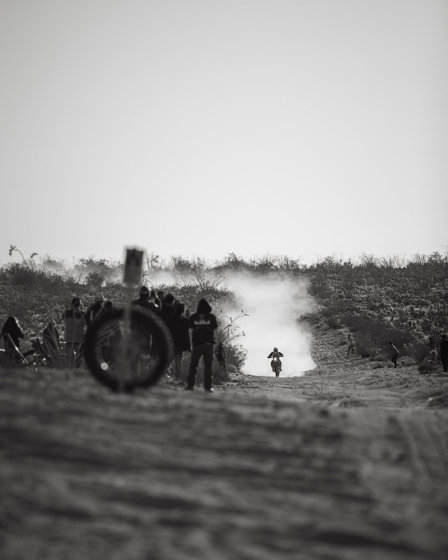 Race scene from the In Dust We Trust race page, image 9.